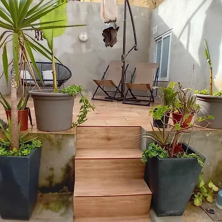 Cactus & Mandala Birzebbuga
