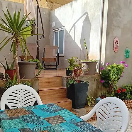 Cactus & Mandala Birżebbuġa
